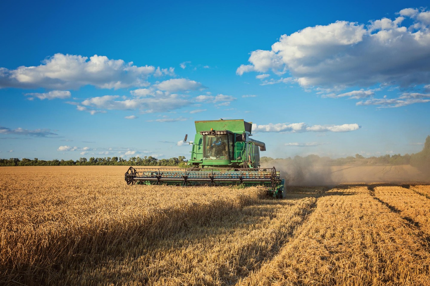 Cosechadora verde trabajando en un campo de cereal bajo un cielo azul