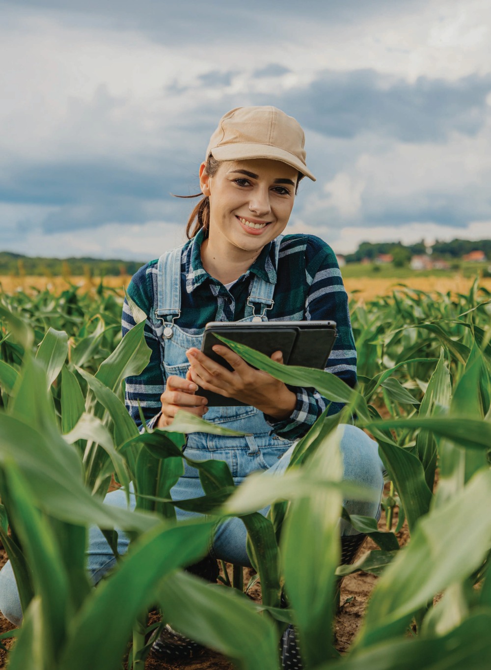 Agricultora con tableta en un campo de maíz